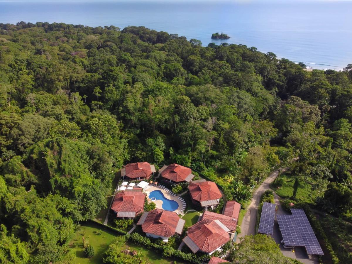 Terrazas Del Caribe Hotel Puerto Viejo de Talamanca Bagian luar foto